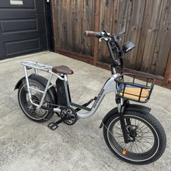 Rad Power Bikes Radrunner Plus Excellent Condition