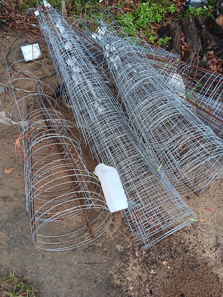Tomato Cages