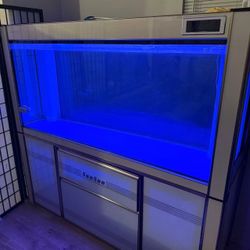 Super Large 200 Gallon Fish Tank 