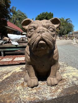 Bulldog