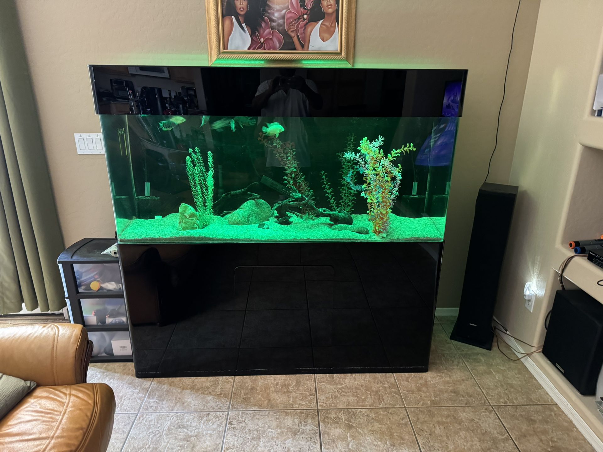 125 Gallon Acrylic Fish Aquarium