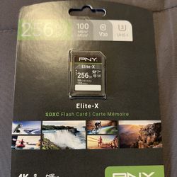 PNY Elite X SDXC Flag Card 256gb