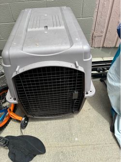 Dog kennel