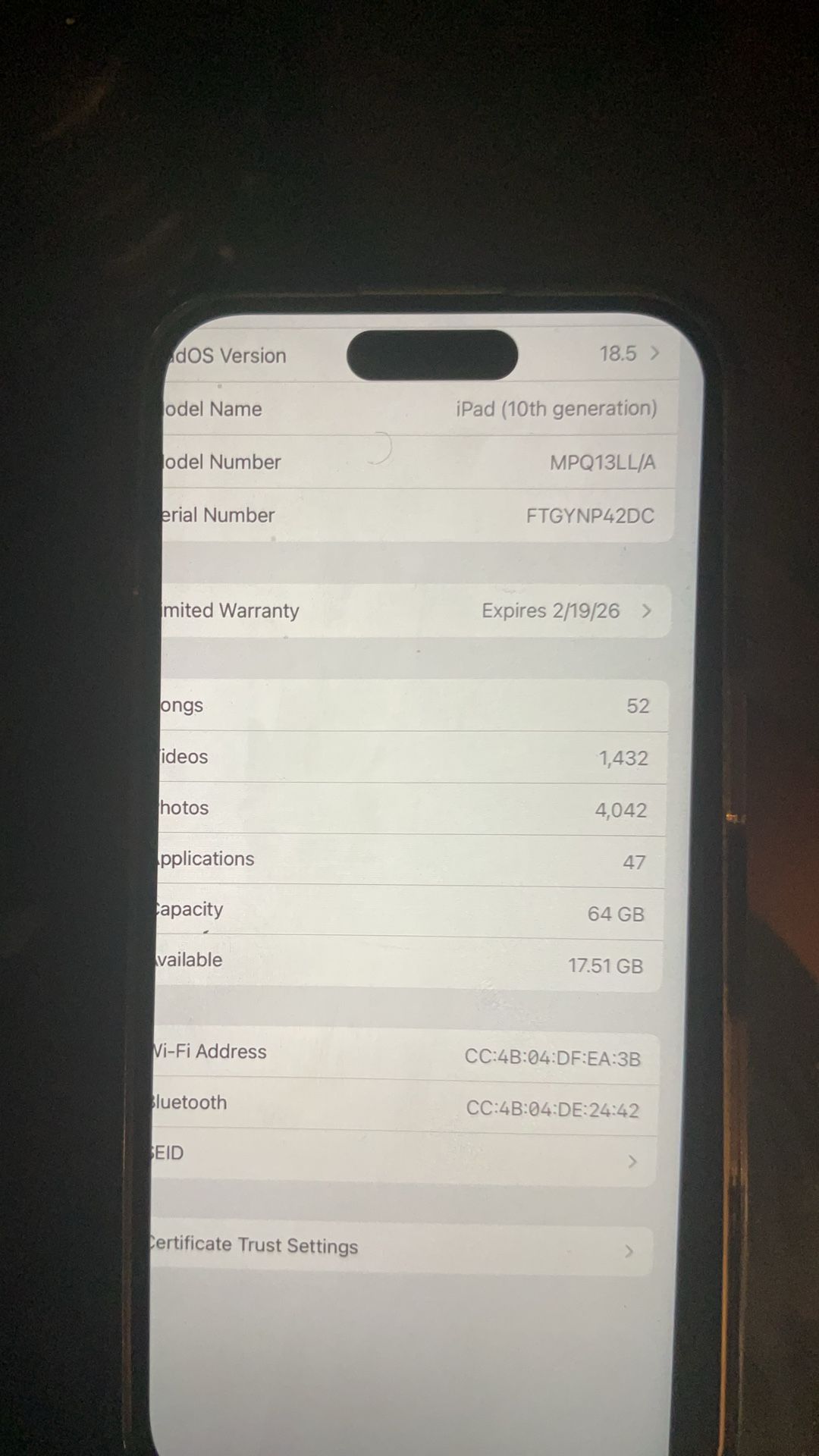 iPad WiFi Only
