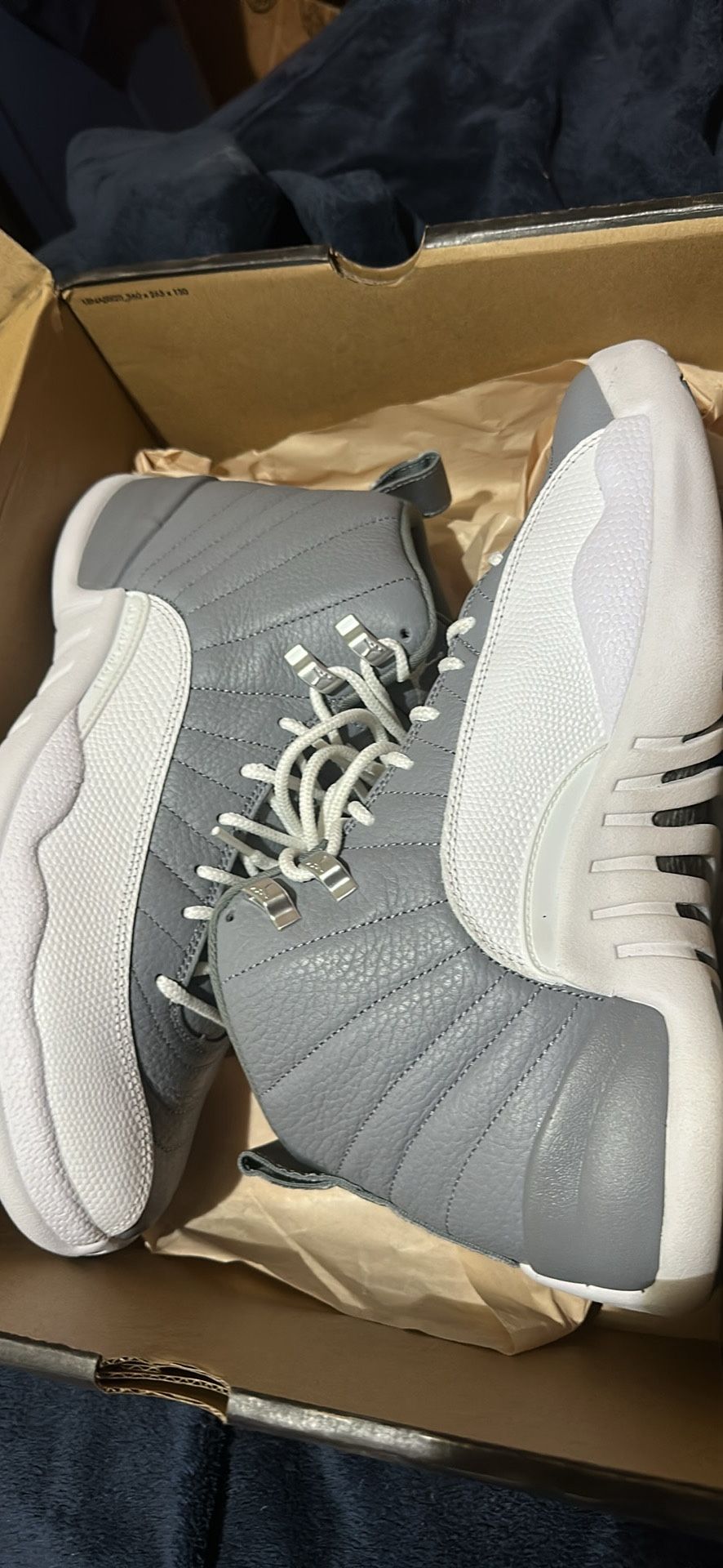 Air Jordan 12 Stealth Size 10.5