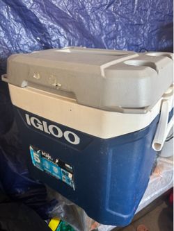 Cooler