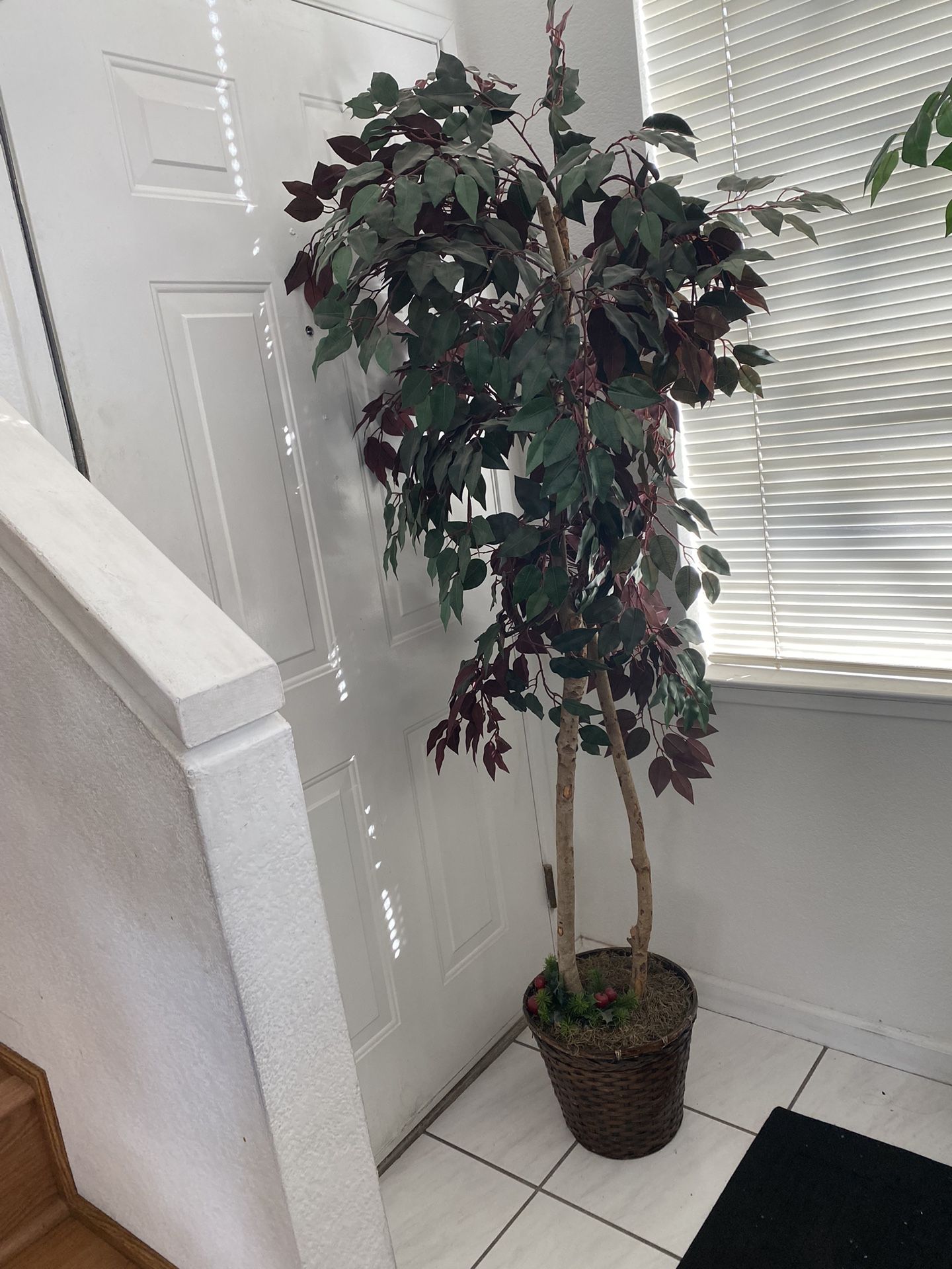 Fake House Plants Or Office Plant