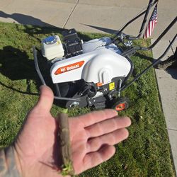 Spring Aeration and power raking
