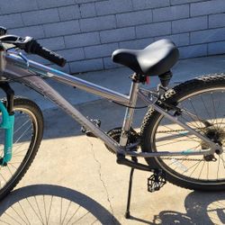 Schwinn Bike
