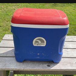 Cooler