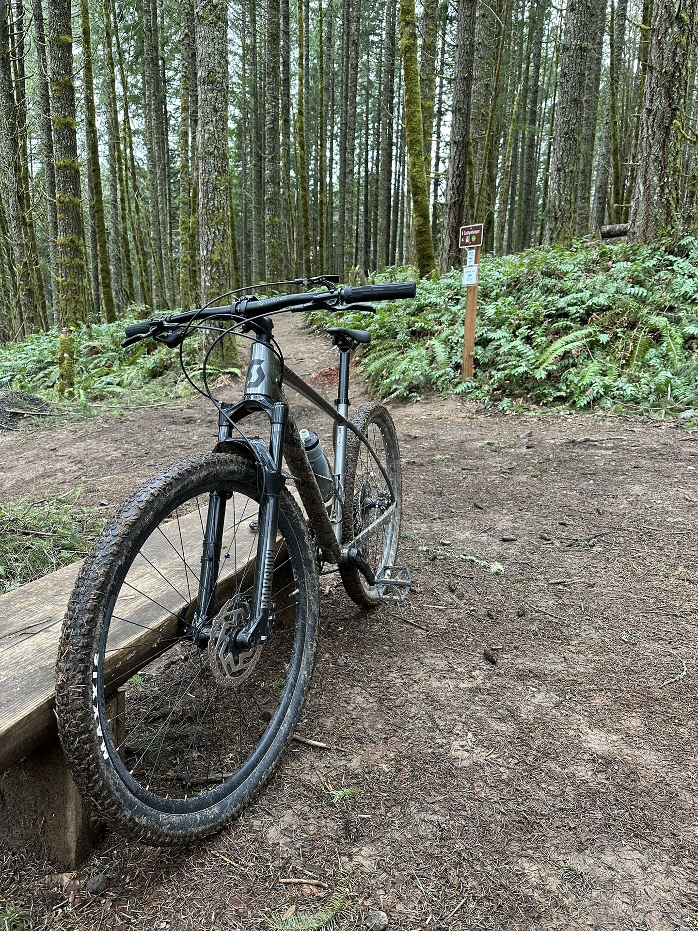 Bike Scott Scale (contact info removed)