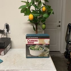 Oven / Microwave Cook Ware 