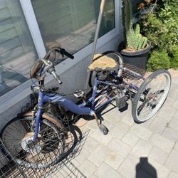 Electric Bike