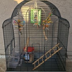 Bird Cage With Toys And Food 