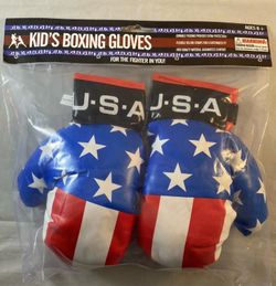 USA child’s boxing gloves Halloween costume