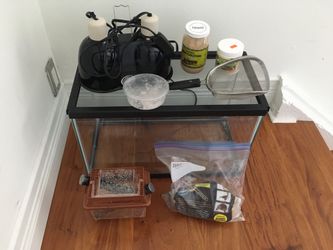 Bearded dragon reptile fish tank and accessories