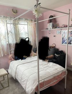 11’ Twin Bed With Medal Canopy Frame