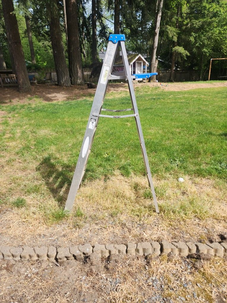 Warner 6 Foot Ladder