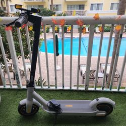 Segway Scooter 