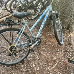 Schwinn Bike