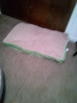 Dog bed