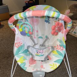 Baby Bouncer