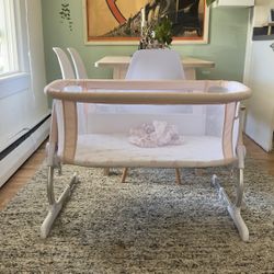 Baby Delight Bassinet