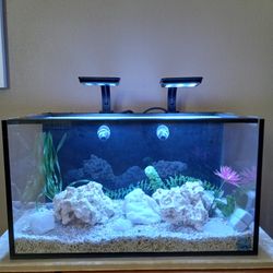 AQUARIUM/FISH TANK - Innovative Marine Fusion Nano 20