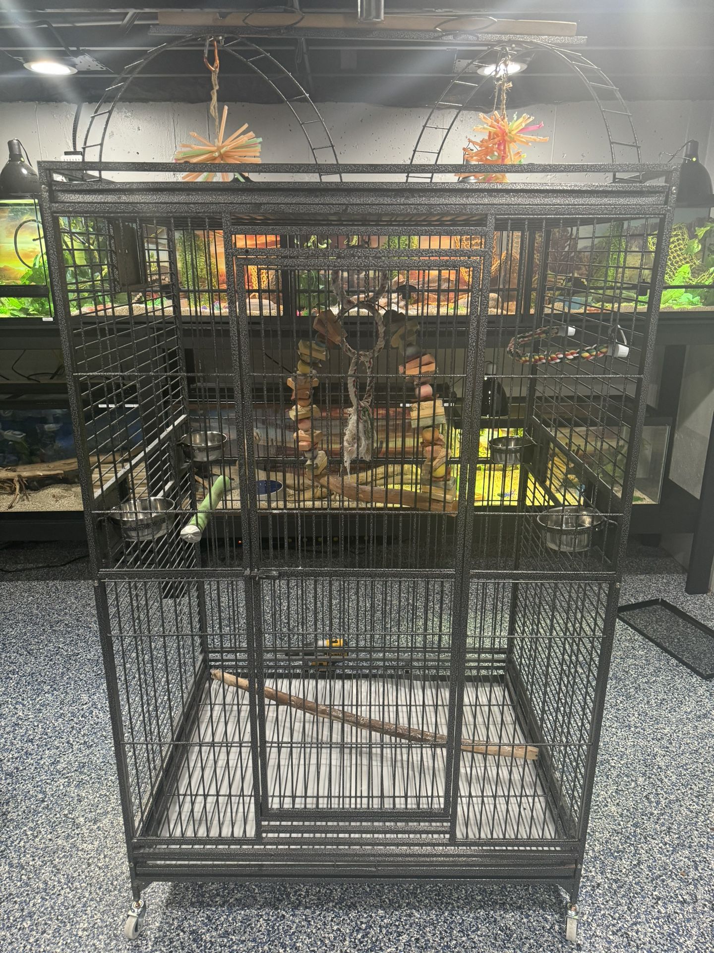 BIRD CAGE