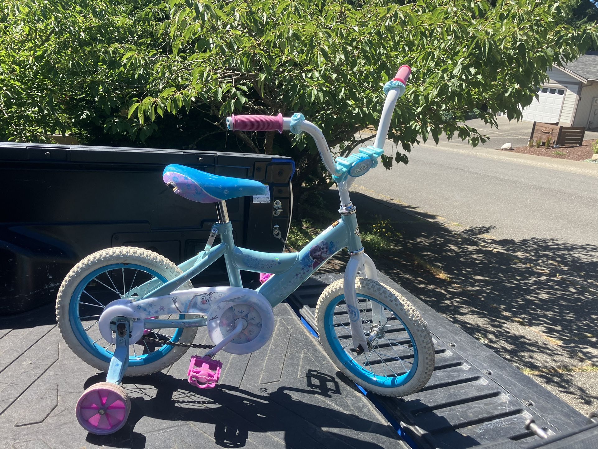 Child Children Kid Disney Frozen Elsa Bicycle Bike Trike 16” Wheels with Training Wheels Like New