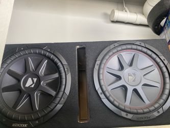 Two 12 inch sub woofers