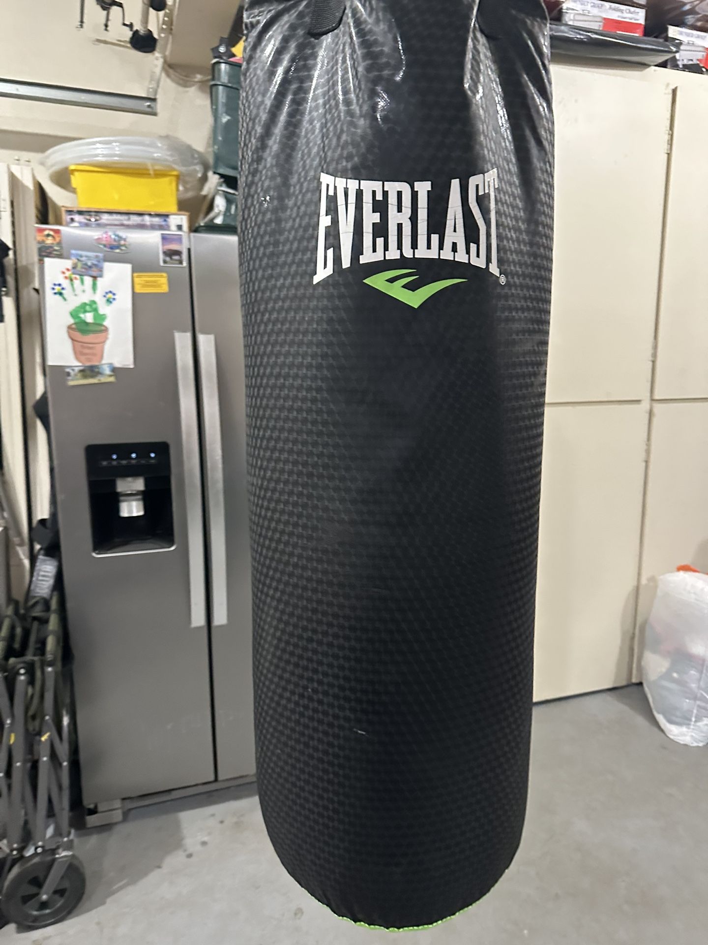 Everlast Punching Bag