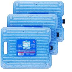 Cooler Ice Packs