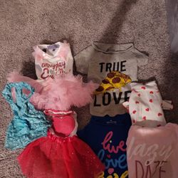 Assorted Pet Clothes