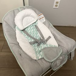 Ingenuity Baby Bouncer