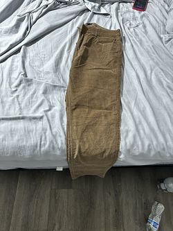 Brand New Hollister Pants
