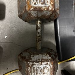 100lb Dumbbell