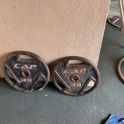 45 Lb Plates