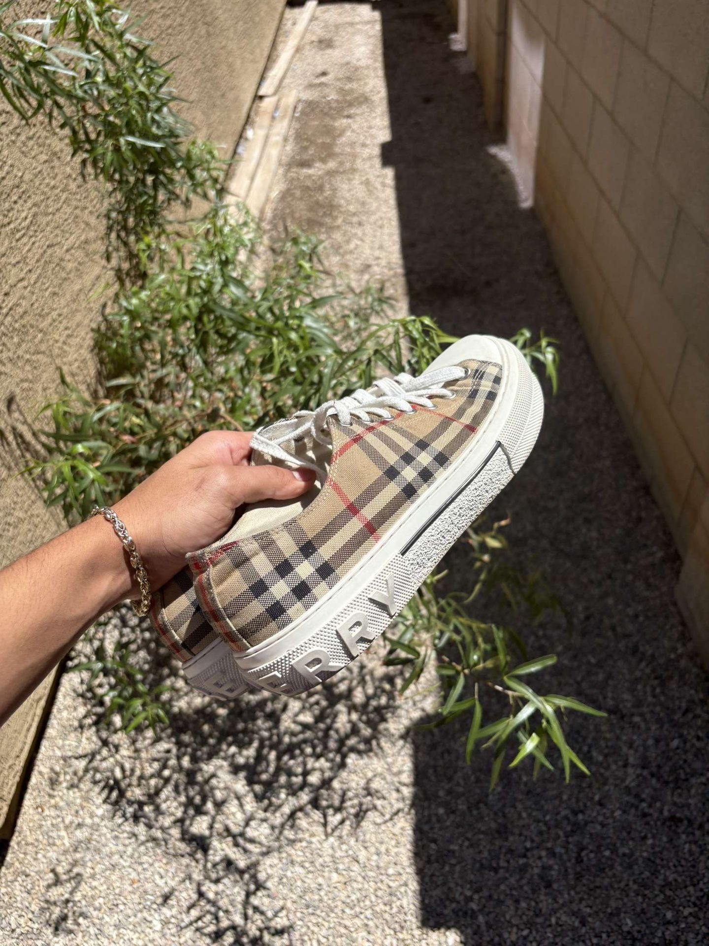 Burberry Converse