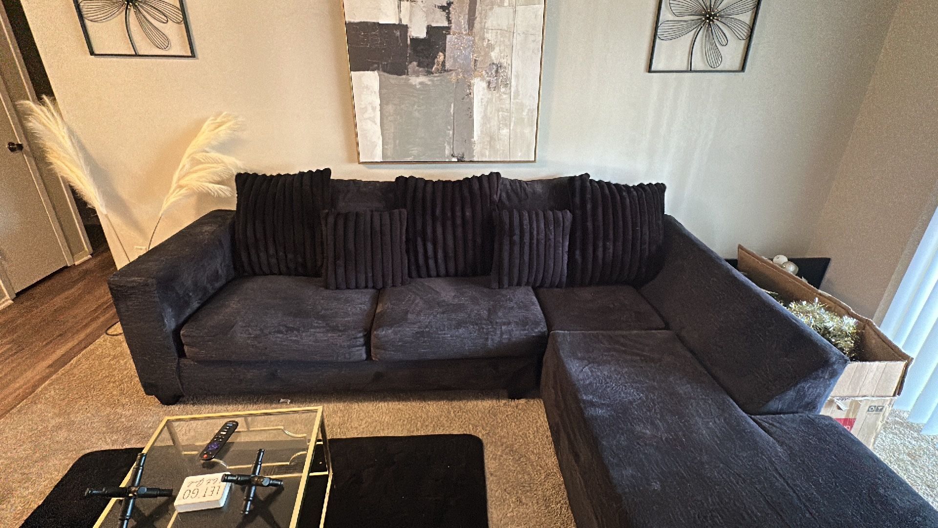 Sectional Couch