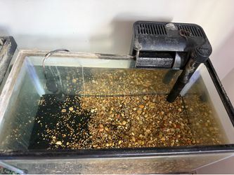 Starter Tank