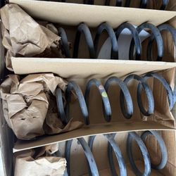 Volkswagon Gti Oem Coil Springs 
