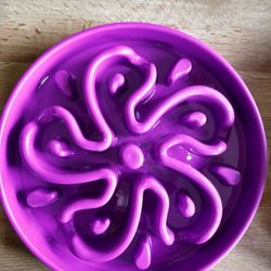 Slow Feeder For Dogs