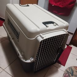 BRAND NEW EX LARG PET CRATE 30INLONG BY 28INHT 25 FIRM PAID 149