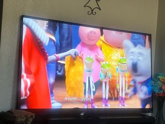 Large Flat Screen LED TV