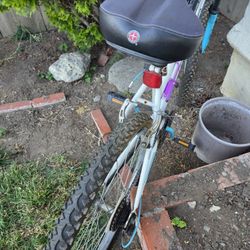 Female Bike 