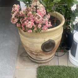 2 Extra Large Plant Pots ( Both For $100)