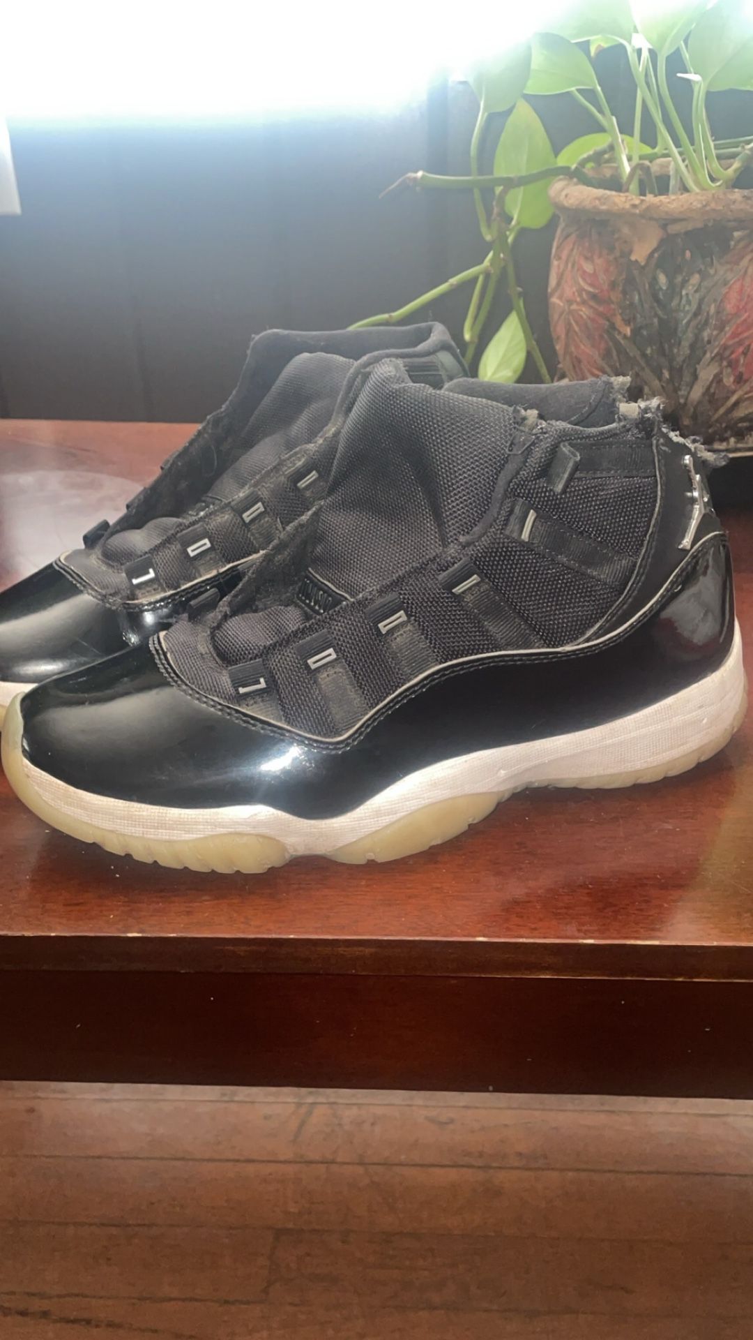 Jordan 11 Jubilees Size mens 8.5