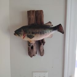 Mounted Largemouth Bass