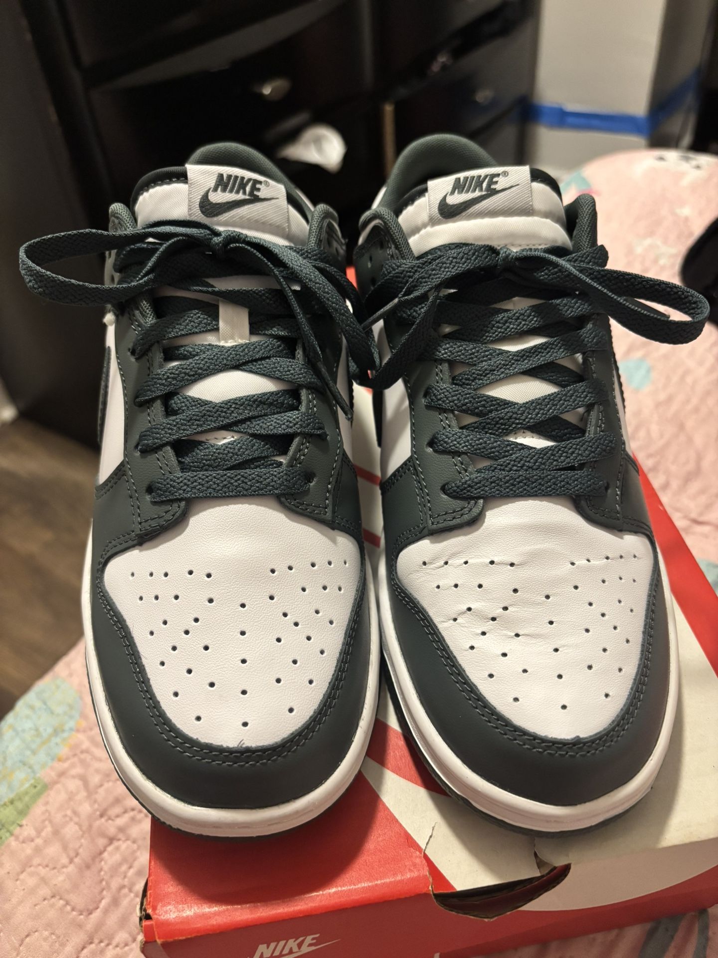 Brand New Nike Dunks